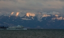 Pferd-Bodensee-2010-280210-Die-Bodensee-Community-seechat_de-_31.jpg