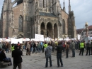 Kormoran-Demo-Muensterplatz-Ulm-200310-Die-Bodensee-Community-seechat_de-IMG_0299.JPG