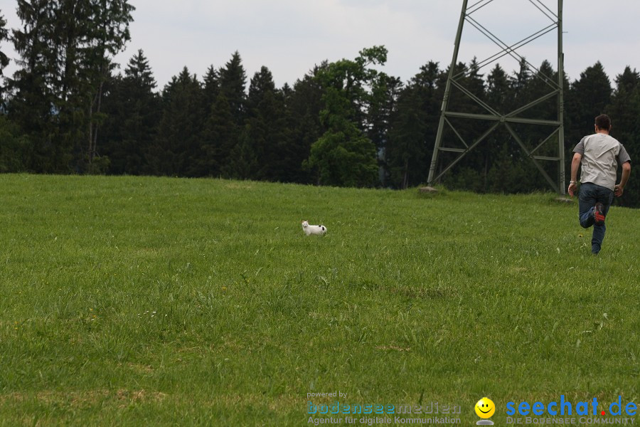 SwingGolf-Opfenbach-Mywiler-Bodensee-Community-14052011-SEECHAT_DE-IMG_6405.JPG