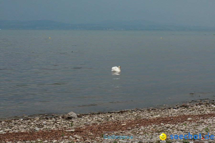 Matchrace 2011: Langenargen am Bodensee, 26.05.2011