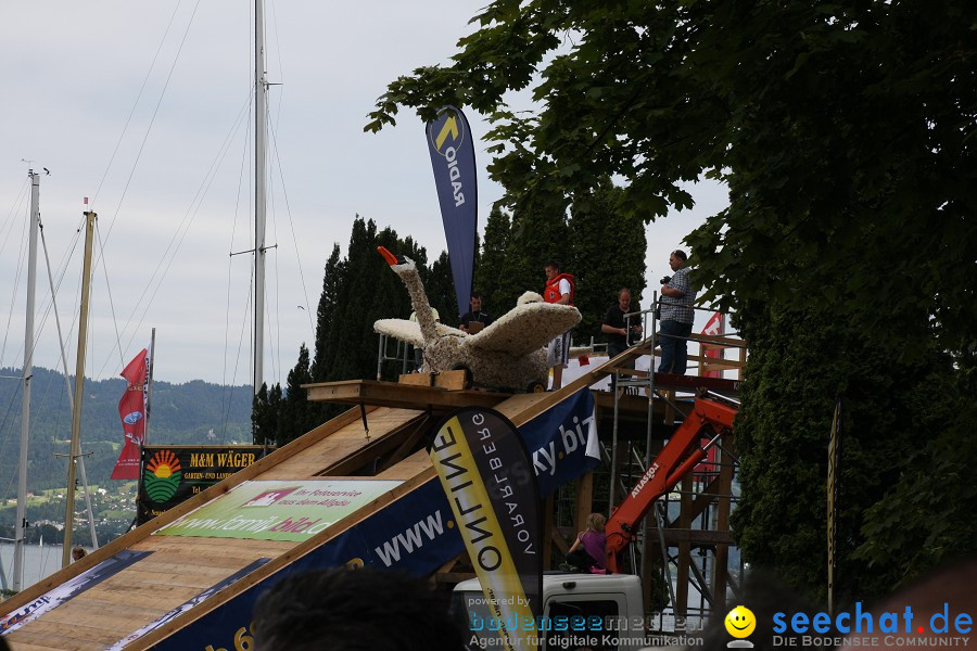 5. Internationales Seehafenfliegen 2011: Lindau am Bodensee, 25.06.2011