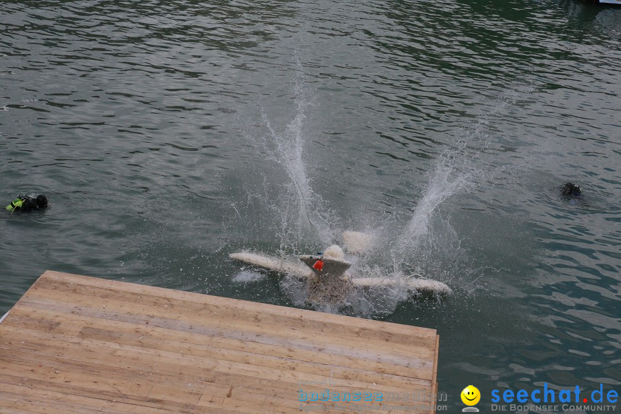 5. Internationales Seehafenfliegen 2011: Lindau am Bodensee, 25.06.2011