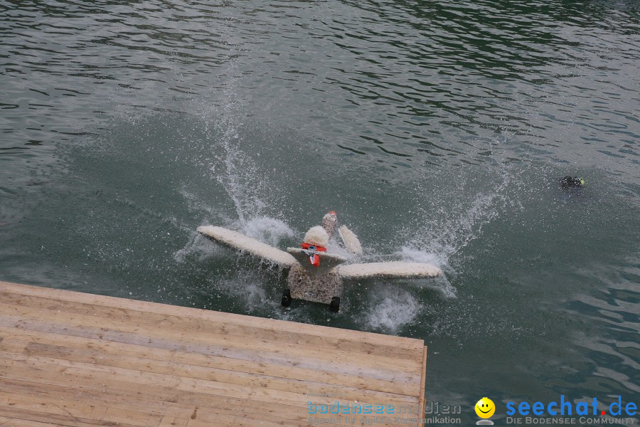 5. Internationales Seehafenfliegen 2011: Lindau am Bodensee, 25.06.2011