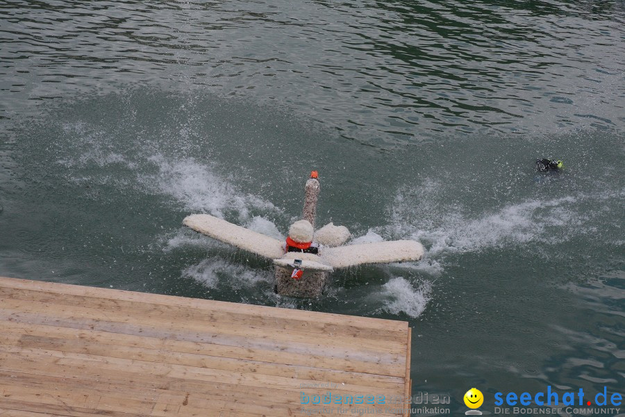 5. Internationales Seehafenfliegen 2011: Lindau am Bodensee, 25.06.2011