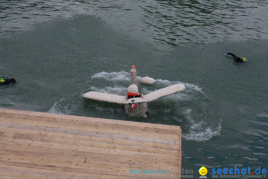 5. Internationales Seehafenfliegen 2011: Lindau am Bodensee, 25.06.2011