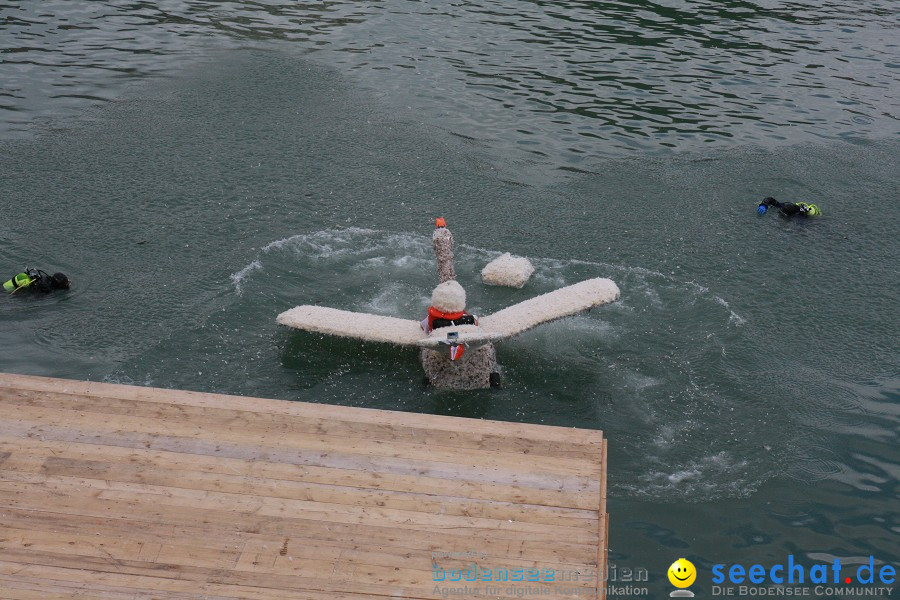 5. Internationales Seehafenfliegen 2011: Lindau am Bodensee, 25.06.2011