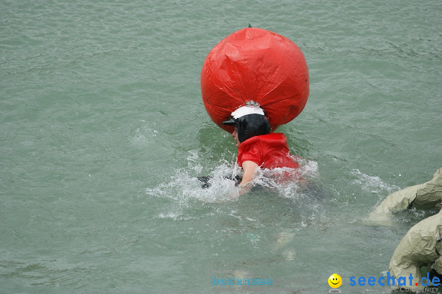 5. Internationales Seehafenfliegen 2011: Lindau am Bodensee, 25.06.2011