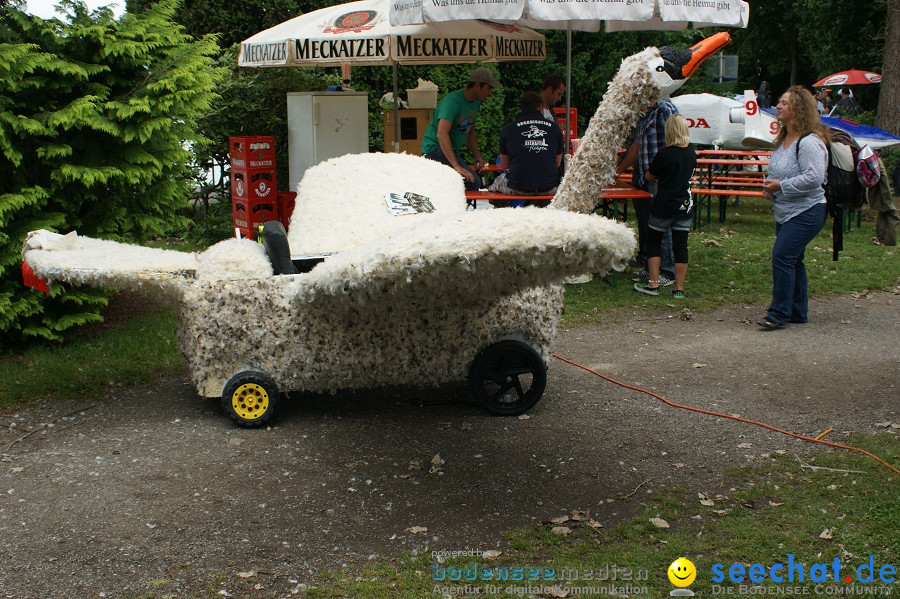 5. Internationales Seehafenfliegen 2011: Lindau am Bodensee, 25.06.2011