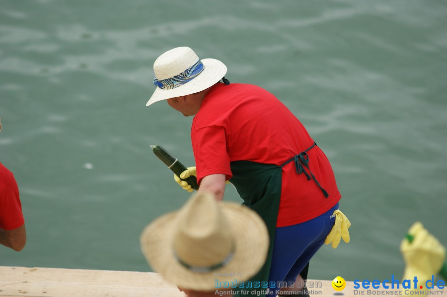 5. Internationales Seehafenfliegen 2011: Lindau am Bodensee, 25.06.2011