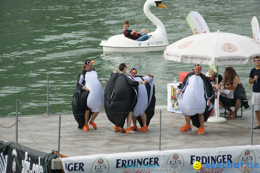 5. Internationales Seehafenfliegen 2011: Lindau am Bodensee, 25.06.2011