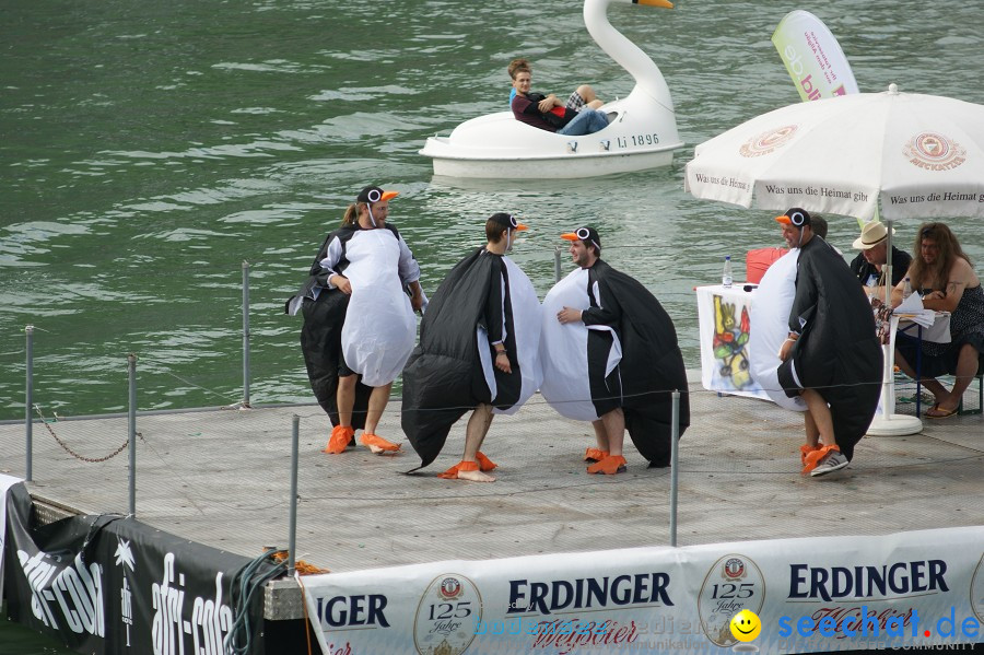 5. Internationales Seehafenfliegen 2011: Lindau am Bodensee, 25.06.2011