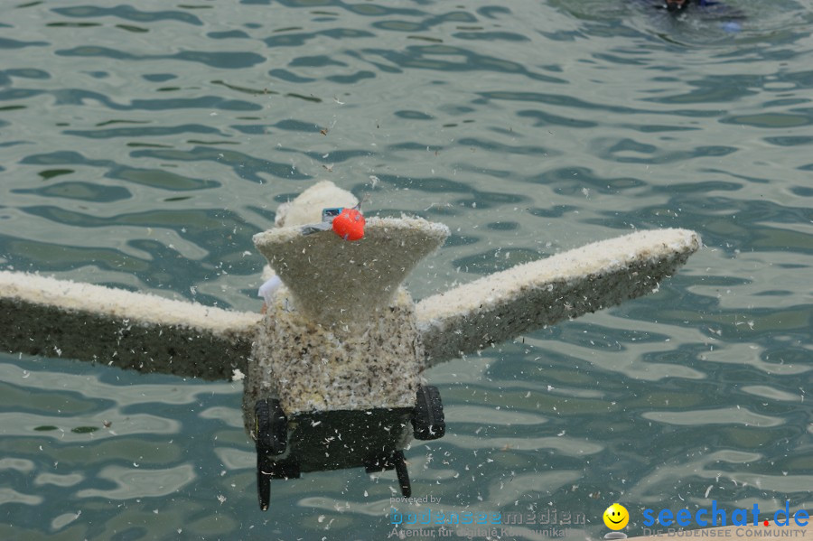 5. Internationales Seehafenfliegen 2011: Lindau am Bodensee, 25.06.2011