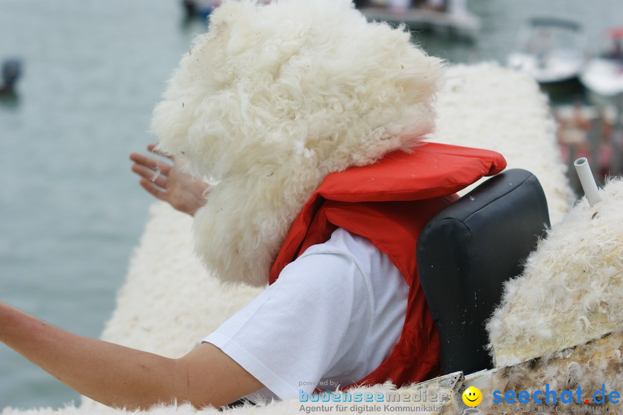 5. Internationales Seehafenfliegen 2011: Lindau am Bodensee, 25.06.2011