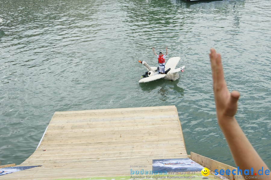 5. Internationales Seehafenfliegen 2011: Lindau am Bodensee, 25.06.2011