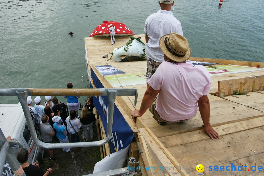 5. Internationales Seehafenfliegen 2011: Lindau am Bodensee, 25.06.2011