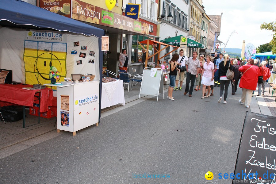 seechat.de Infostand: Schweizertag: Stockach am Bodensee, 02.07.2011