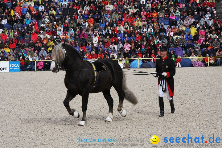 Hengstparade Marbach 2008