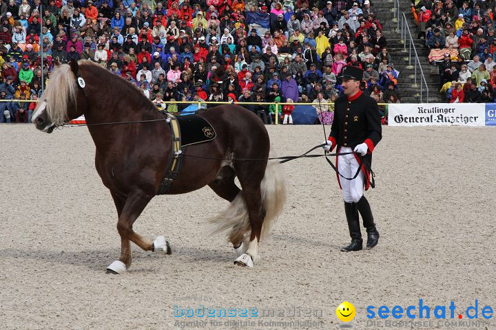 Hengstparade Marbach 2008