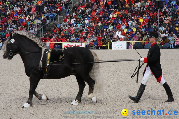 Hengstparade Marbach 2008