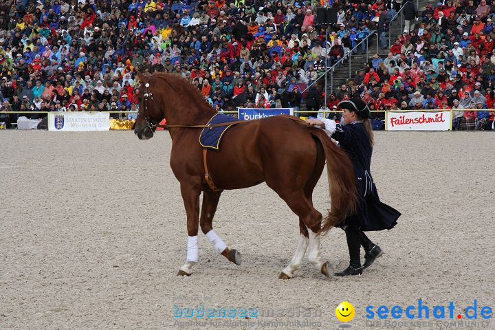 Hengstparade Marbach 2008