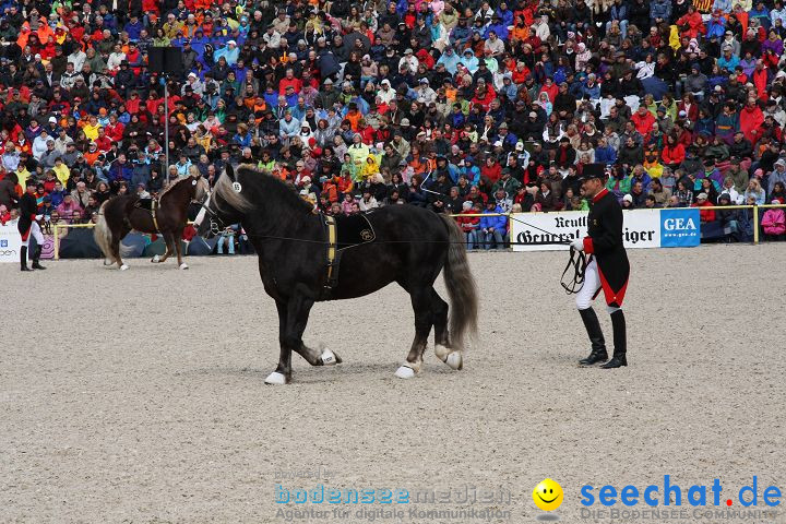 Hengstparade Marbach 2008