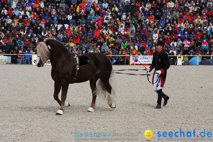 Hengstparade Marbach 2008