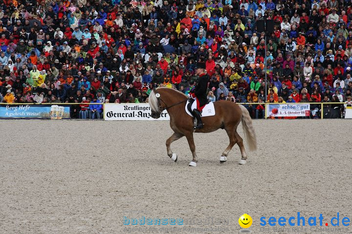 Hengstparade Marbach 2008