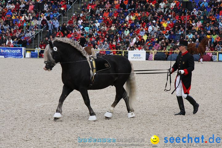 Hengstparade Marbach 2008