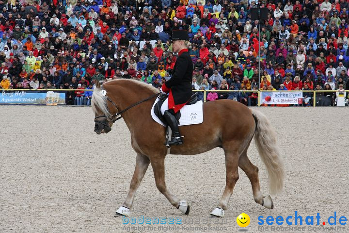 Hengstparade Marbach 2008