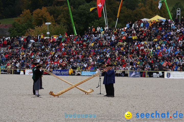 Hengstparade Marbach 2008