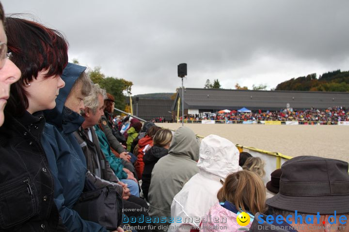 Hengstparade Marbach 2008