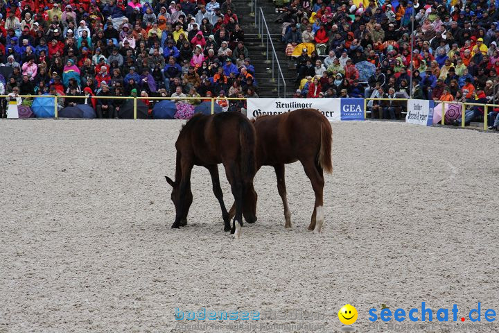 Hengstparade Marbach 2008