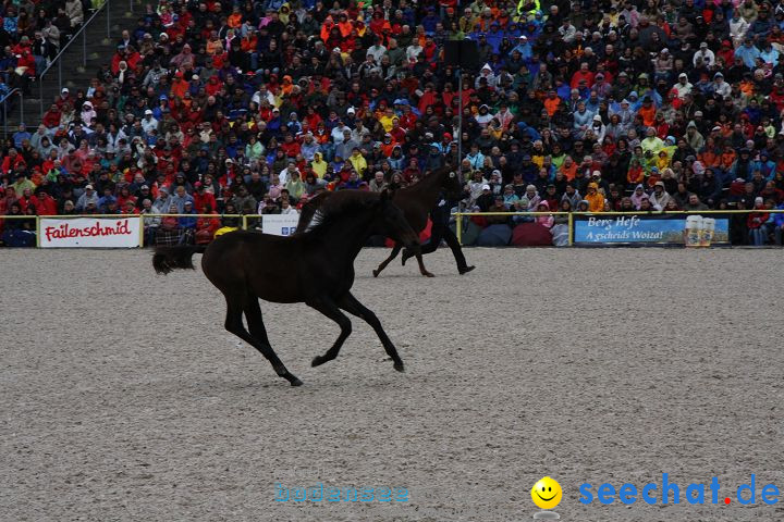 Hengstparade Marbach 2008