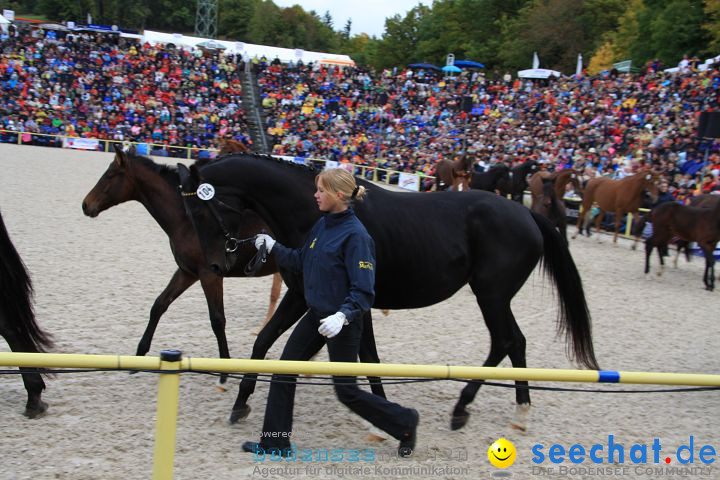 Hengstparade Marbach 2008