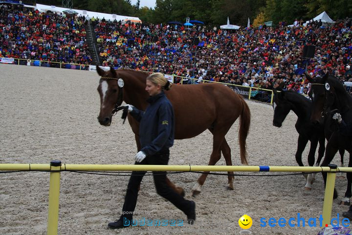 Hengstparade Marbach 2008