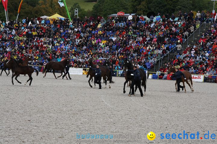 Hengstparade Marbach 2008