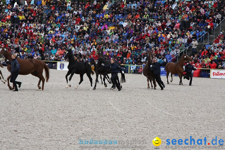 Hengstparade Marbach 2008