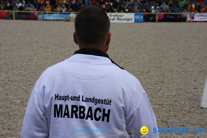 Hengstparade Marbach 2008