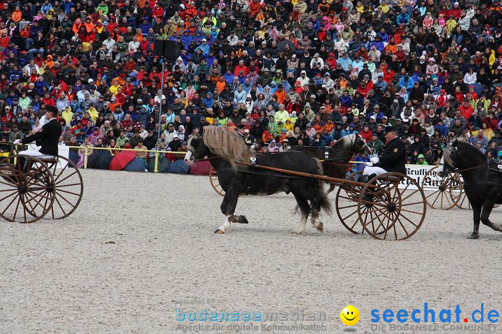 Hengstparade Marbach 2008