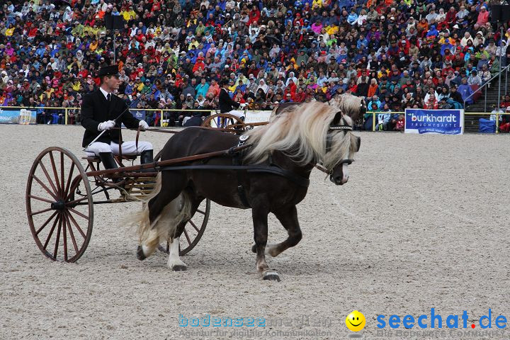 Hengstparade Marbach 2008