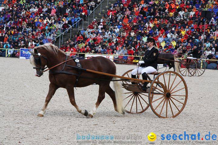 Hengstparade Marbach 2008