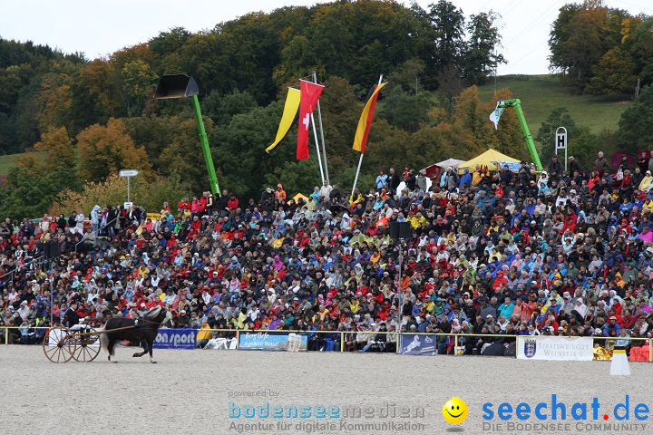 Hengstparade Marbach 2008