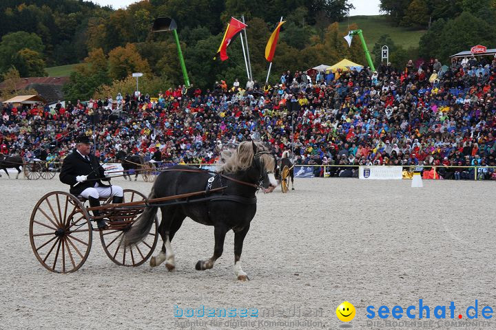 Hengstparade Marbach 2008