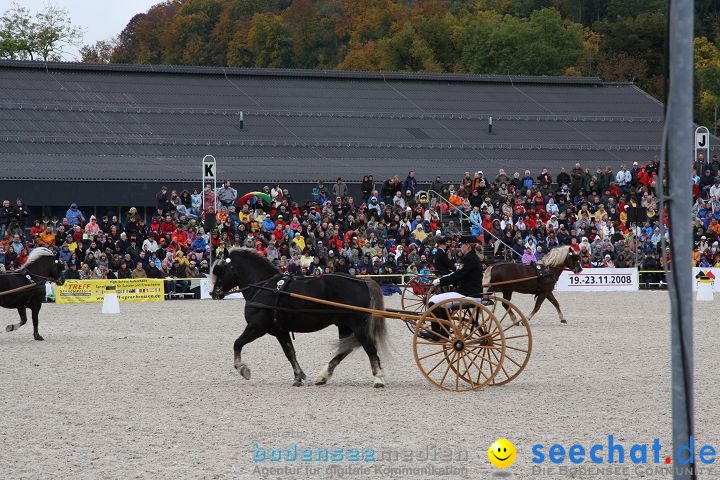 Hengstparade Marbach 2008