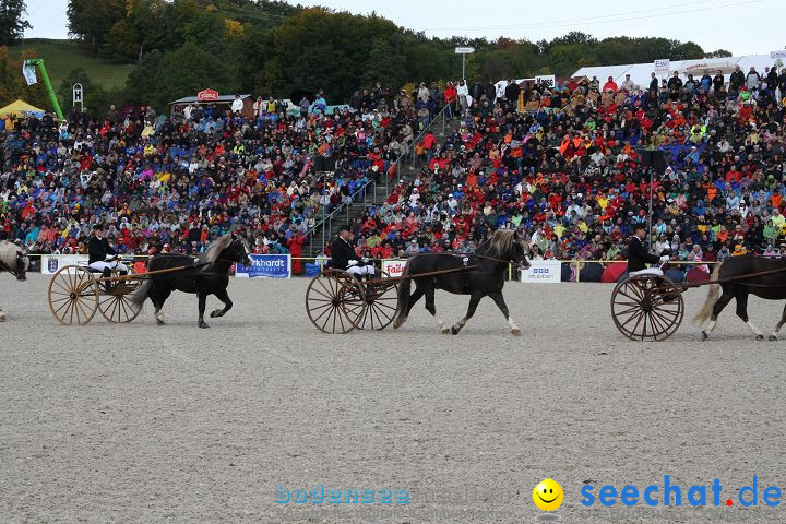 Hengstparade Marbach 2008