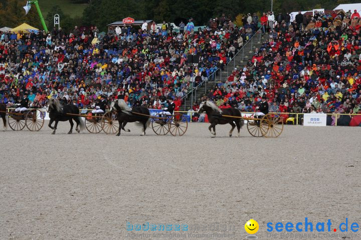 Hengstparade Marbach 2008