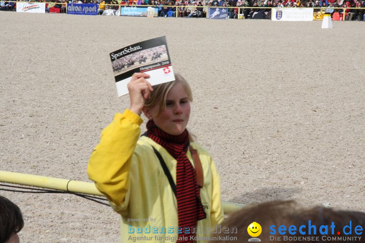 Hengstparade Marbach 2008