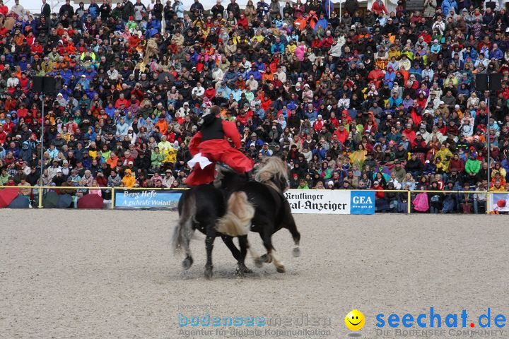 Hengstparade Marbach 2008