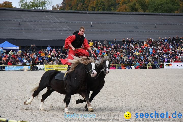 Hengstparade Marbach 2008