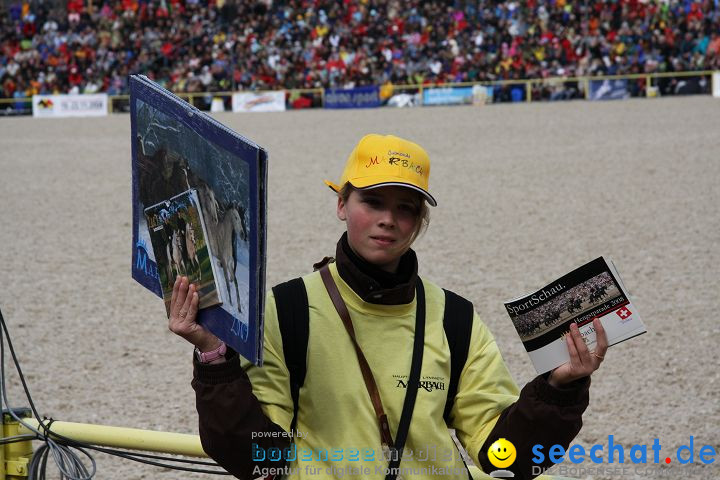 Hengstparade Marbach 2008